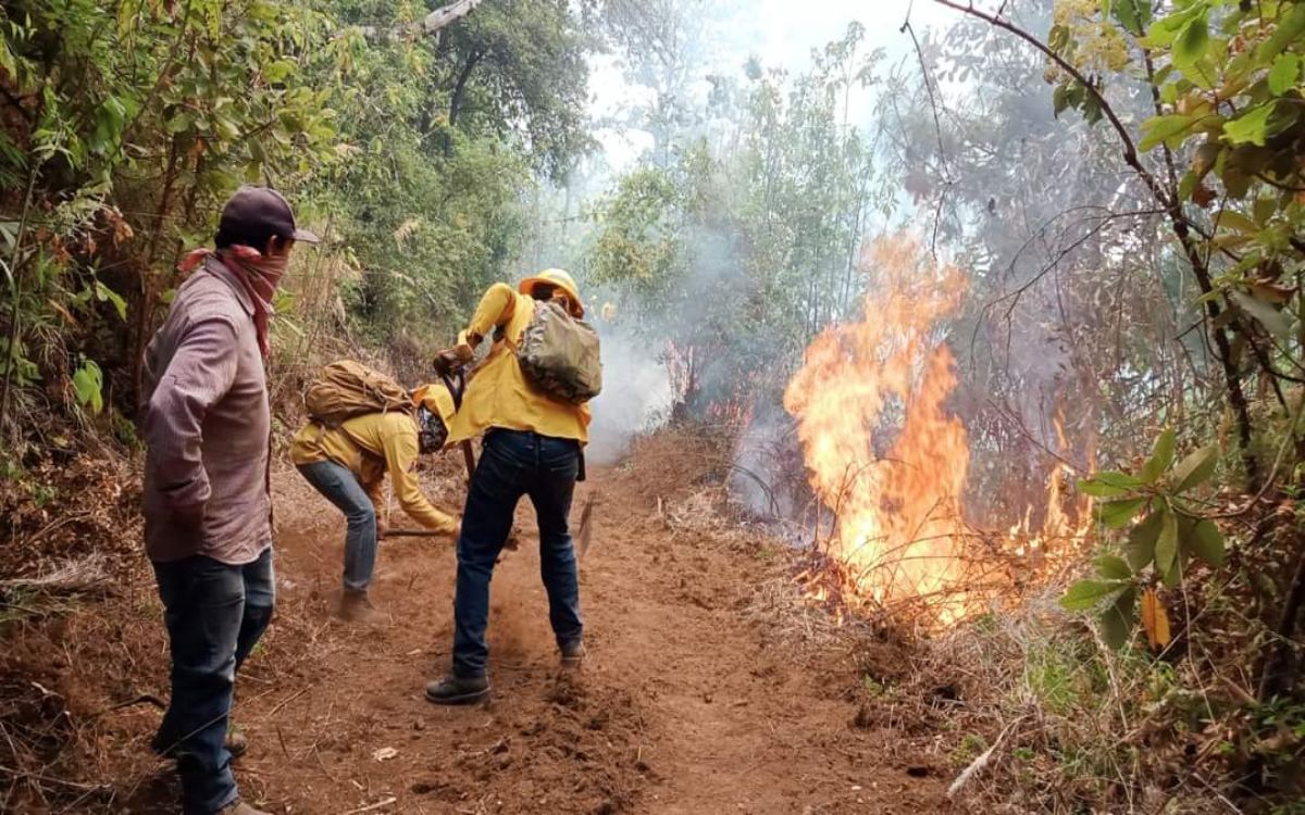 Fallece quinto brigadista en incendios del Edomex