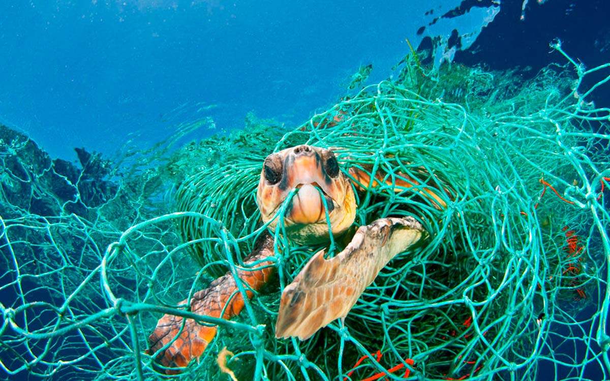 Greenpeace busca 200 mil firmas para iniciativa antiplástico | Video