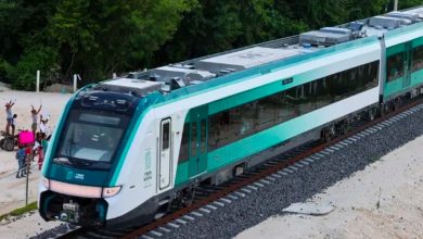 Inauguración del Tramo 5 de Tren Maya es un 'colofón de violaciones al derecho ambiental y derechos humanos": Greenpeace