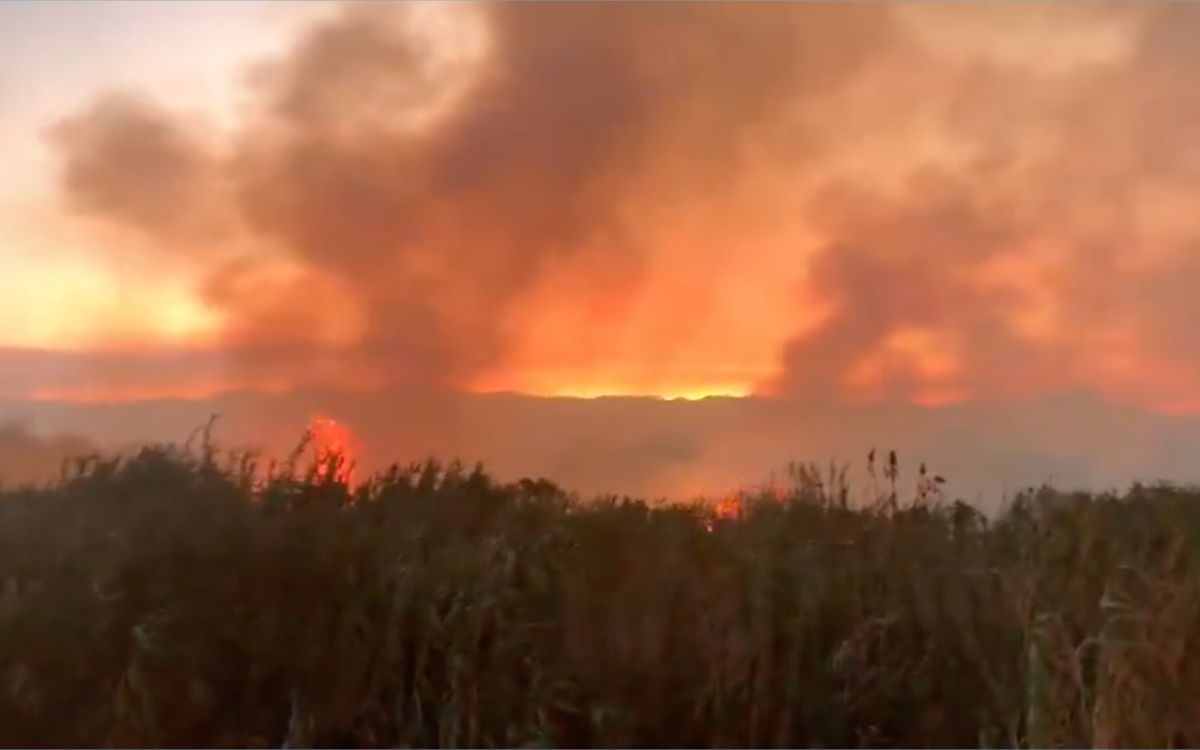 Incendios en ‘Vaso de Cristo’ tiñen el cielo de gris y exhiben promesas incumplidas