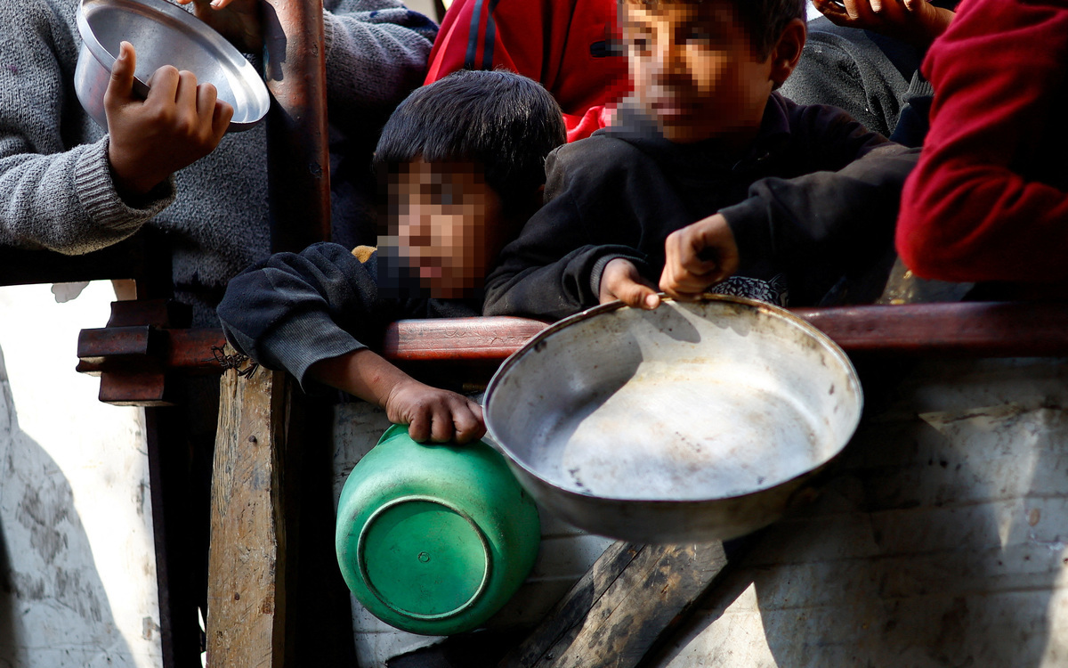 Israel destruye el sistema alimentario de Gaza: experto de Naciones Unidas