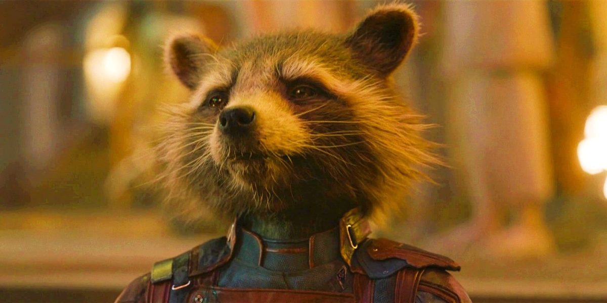 James Gunn explica el significado del nombre de Rocket Raccoon tan perfectamente que hace que Guardianes de la Galaxia 3 sea aún mejor