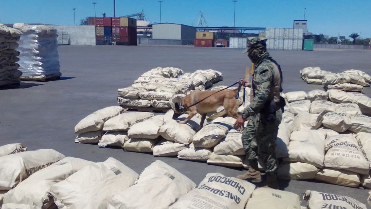 México registró un gran aumento en incautaciones de drogas sintéticas: ONU
