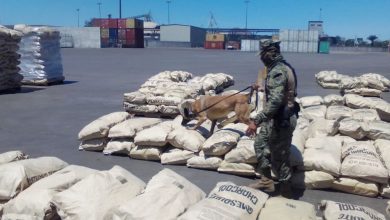 México registró un gran aumento en incautaciones de drogas sintéticas: ONU