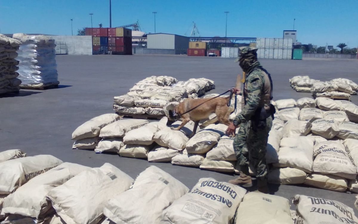 México registró un gran aumento en incautaciones de drogas sintéticas: ONU