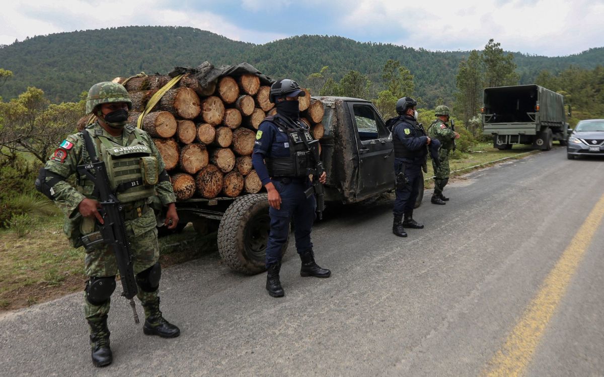 ONU alerta de la 'narcodeforestación' del Amazonas y partes de México
