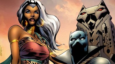 Se suponía que el hijo de Storm & Black Panther ingresaría al Canon oficial de Marvel en 2020 (pero el lanzamiento salió mal)