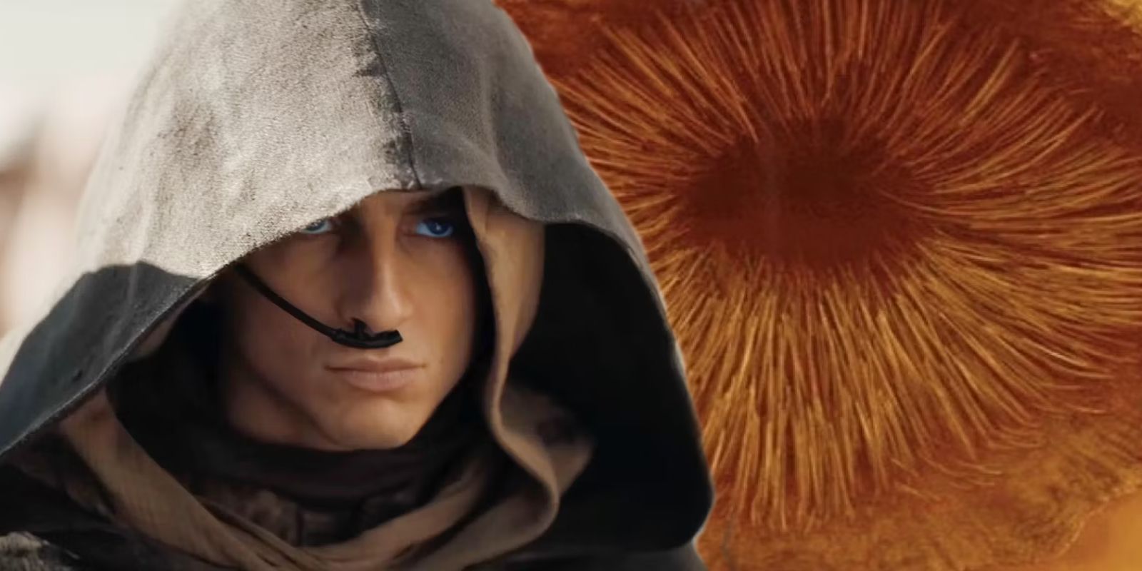 Significado de la escena del gusano de arena de Paul en Dune 2 explicado en profundidad por Timothée Chalamet