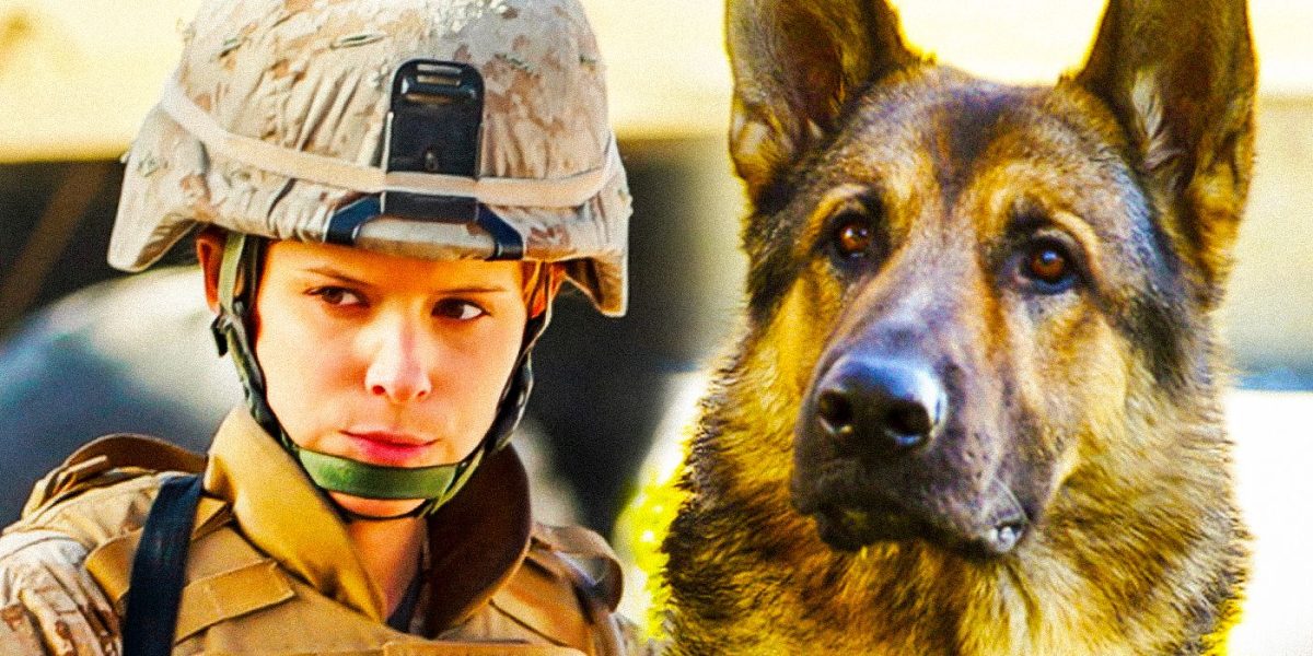 ¿Qué pasó con Megan Leavey y Rex en la vida real después de la película de 2017?