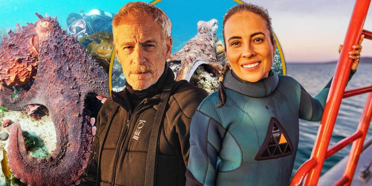 Los secretos del pulpo Los cineastas responden si los pulpos podrían gobernar el mundo y otras preguntas candentes