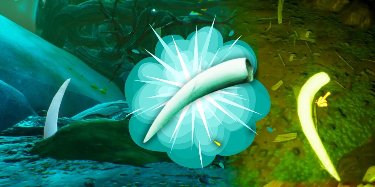 Dónde encontrar huesos hundidos en tierra