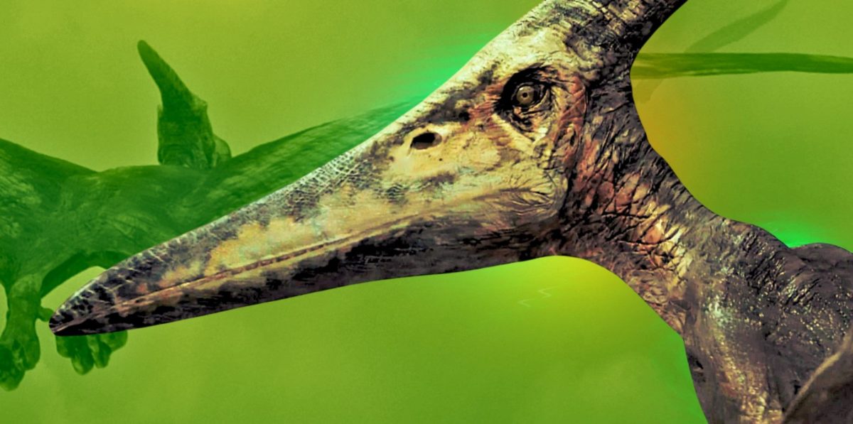 Jurassic World: La escena posterior a los créditos de Fallen Kingdom pagó en secreto un misterio de franquicia de 17 años