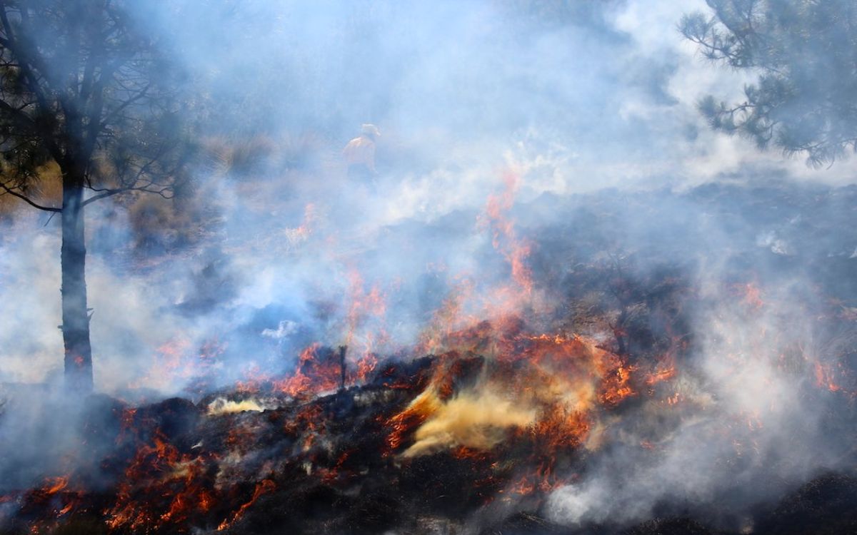 84 incendios se mantienen activos en el país: Conafor