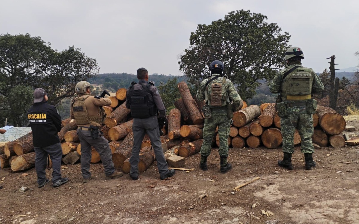 Aseguran fuerzas de seguridad y Profepa aserradero clandestino en Edomex