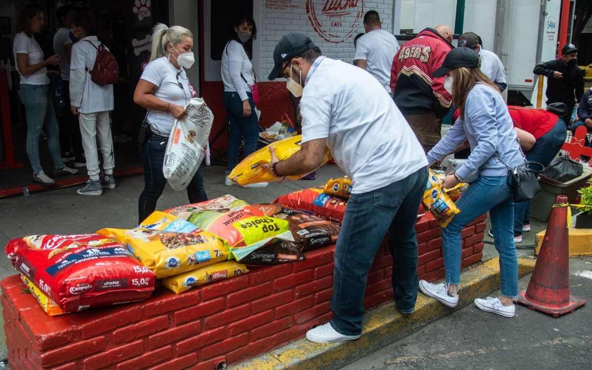 Croquetas y alimento húmedo para perros y gatos seguirán pagando IVA del 16%