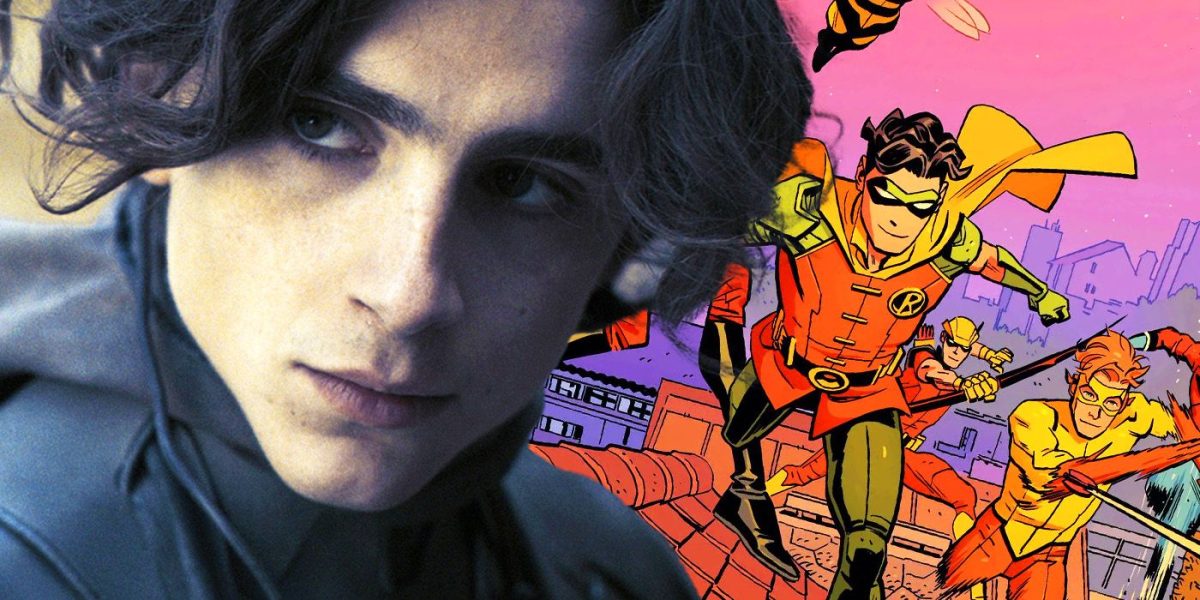 DC acaba de hacer que el casting de fans favorito de Timothée Chalamet sea más probable