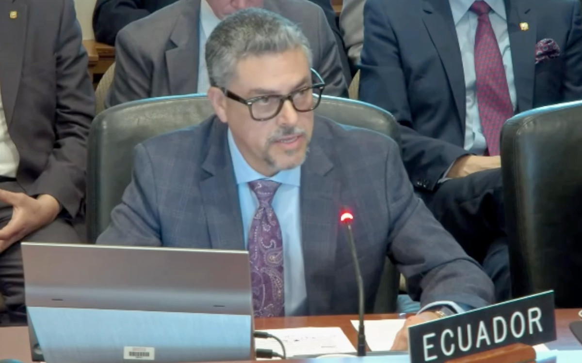 Ecuador acusa en la OEA intromisión de México y proyecta declaraciones AMLO