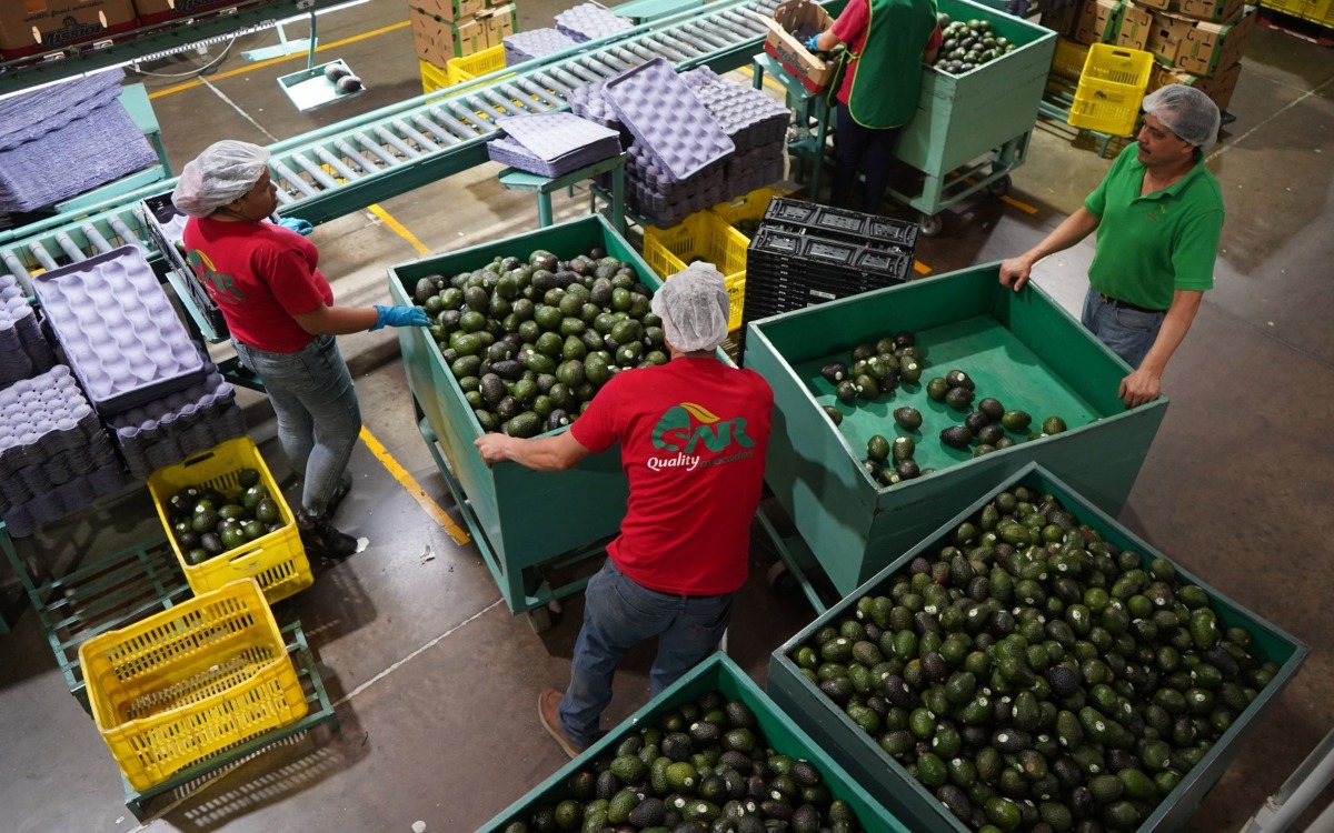 México finaliza petición de EU sobre caso de derechos laborales en empresa de Michoacán
