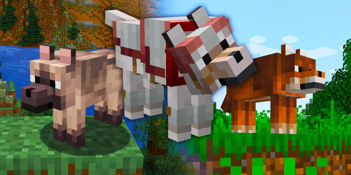 Minecraft: todas las variantes de Wolf de las ediciones Java y Bedrock