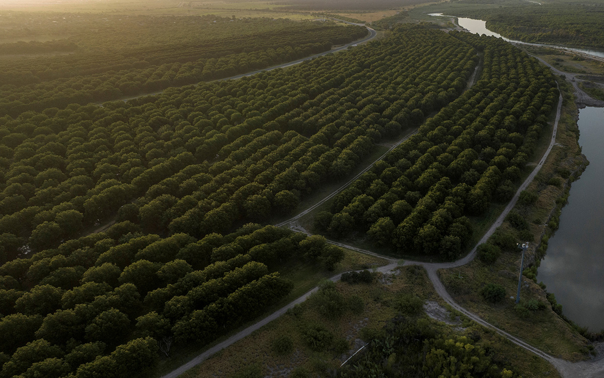 Texas afronta reseca temporada de cultivo mientras EU y México discuten tratado sobre el agua