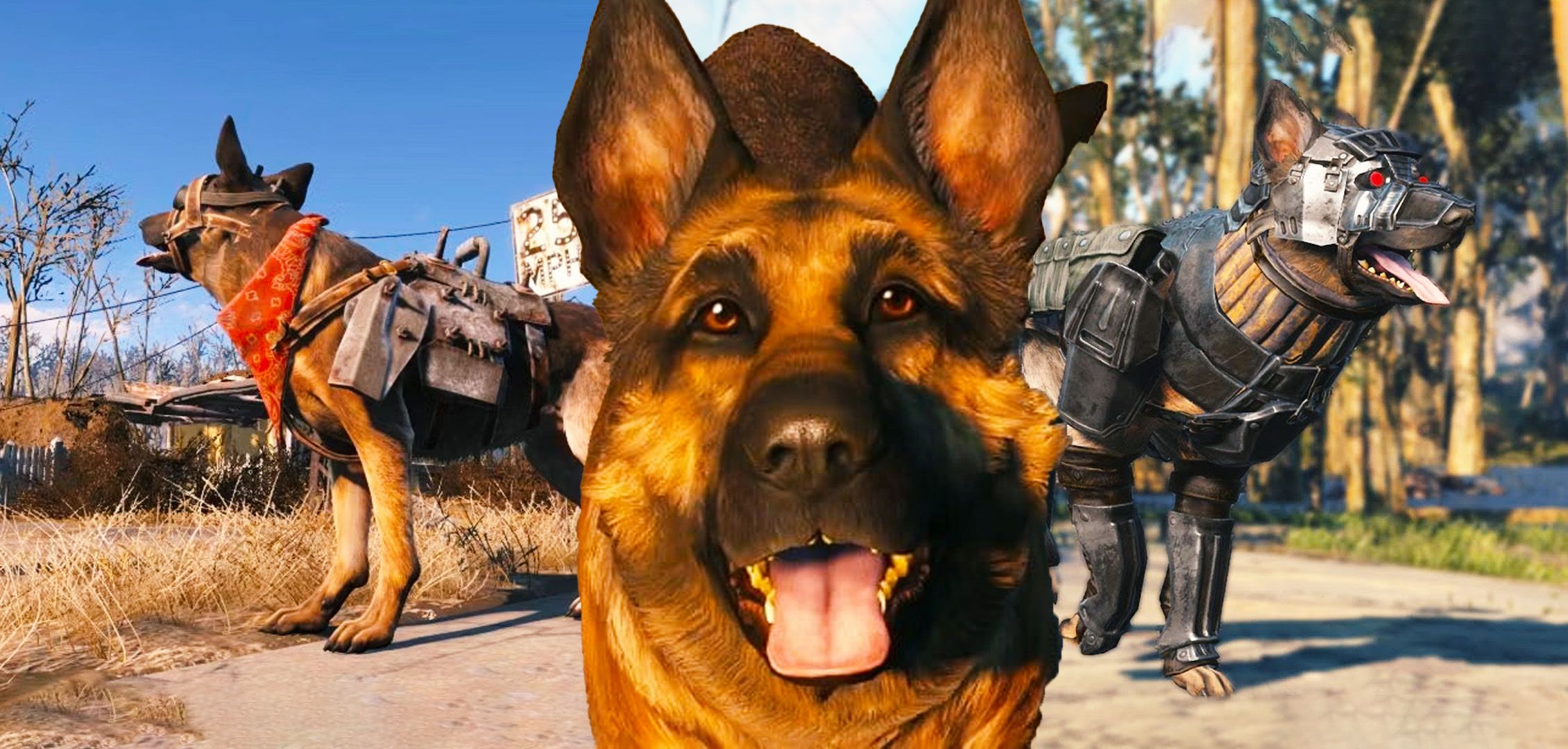 Cómo dar armadura de carne de perro en Fallout 4