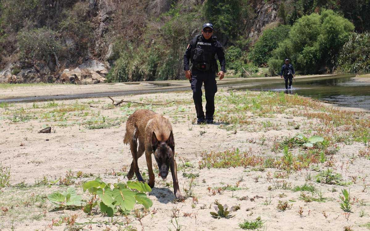 Desaparecen siete hombres en la costa oaxaqueña; fiscalía realiza búsqueda intensiva