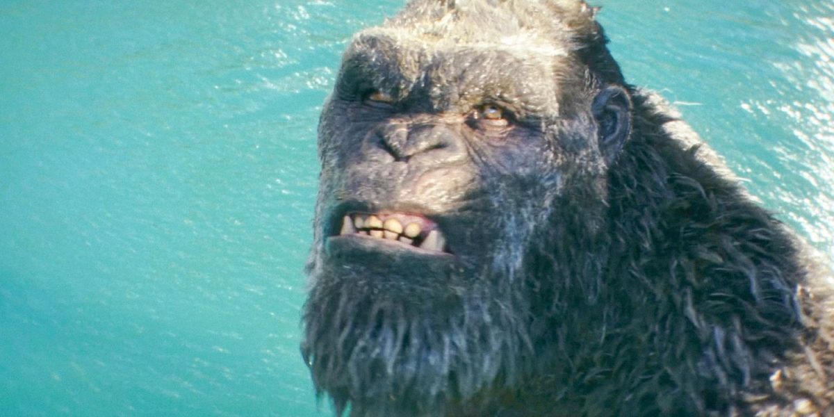 El director de Godzilla X Kong regresa a las raíces independientes de acción y terror con una nueva película A24