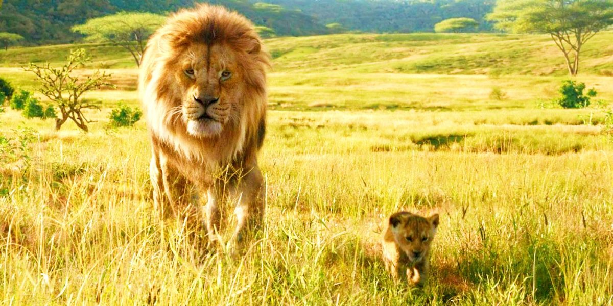 Mufasa es a la vez una precuela y una secuela del Rey León, explica el director