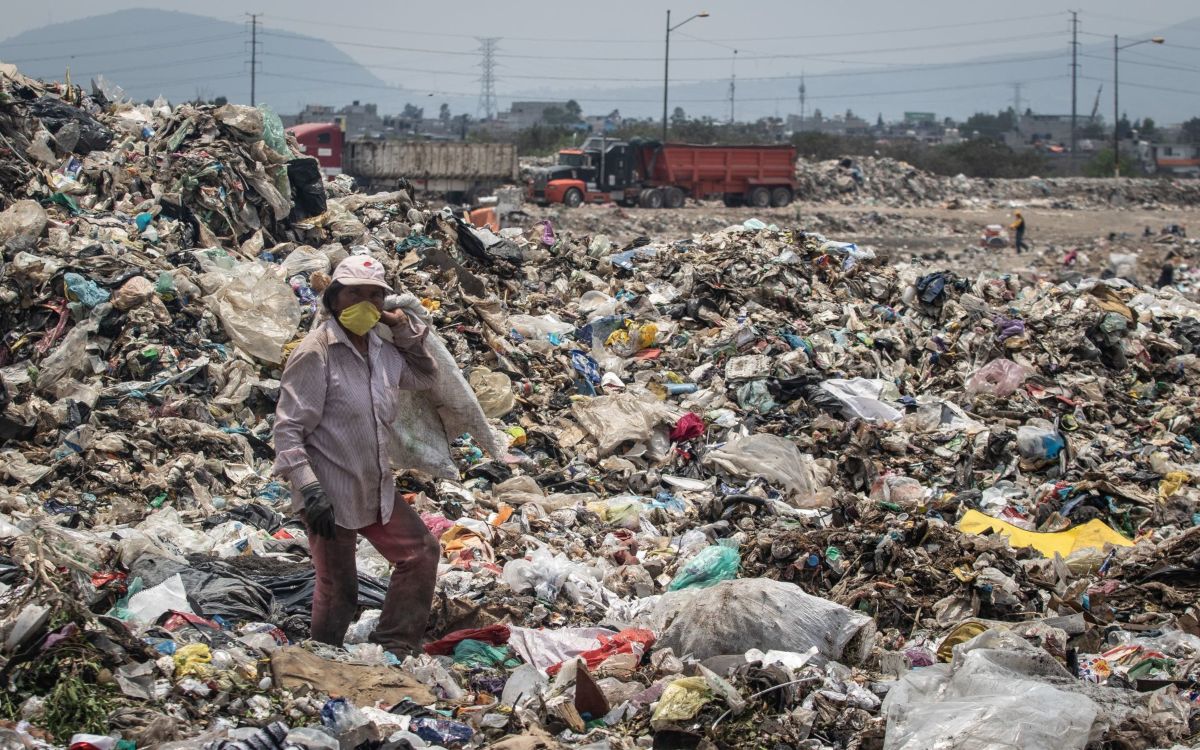 Promueven  el reciclaje con canje de plásticos en Ciudad Universitaria