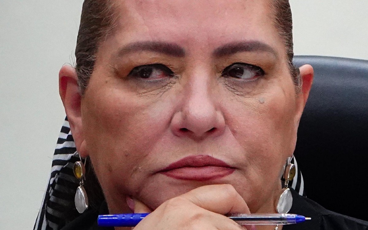 Si Xóchitl va al mitin de ‘Marea Rosa’, INE fiscalizará: Taddei