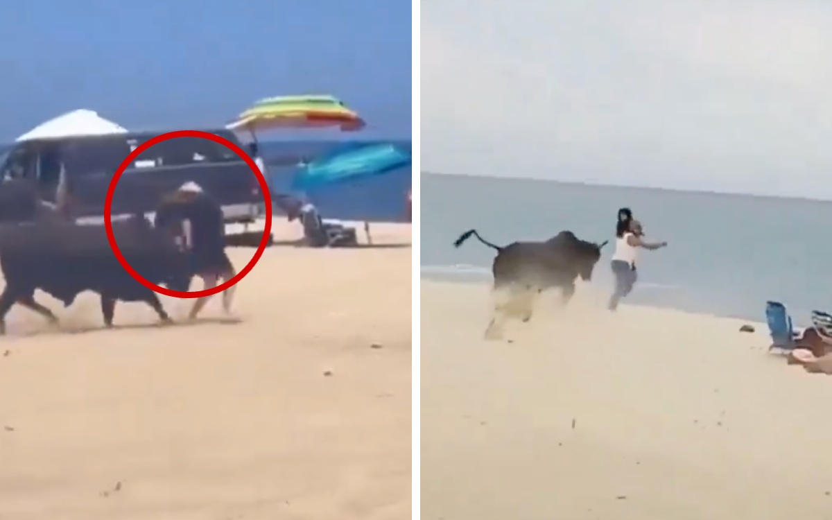 Toro causa pánico y embiste a turista en playa de Baja California Sur | Video