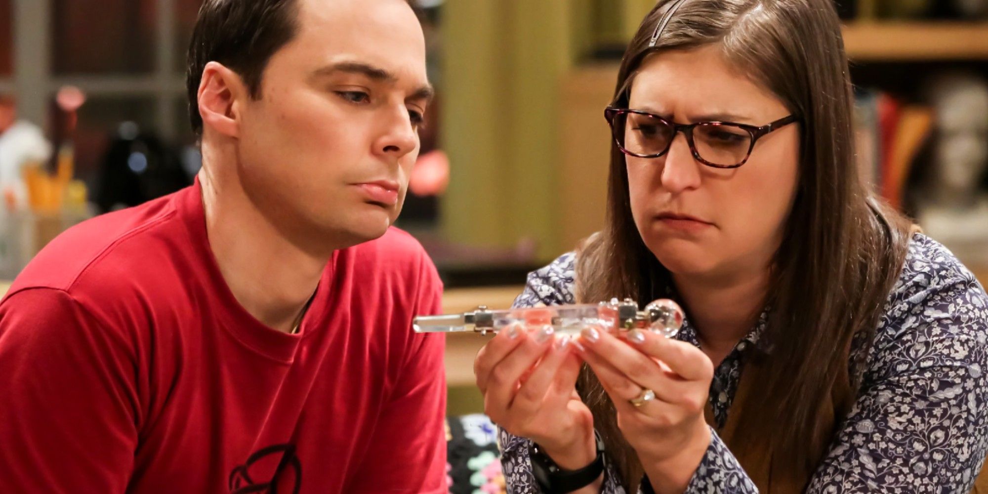 Teoría del Big Bang: Explicación del regalo de bodas de los Hofstadters a Sheldon y Amy