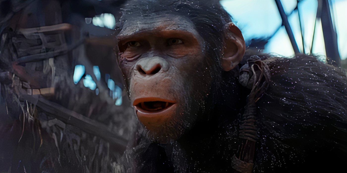 Taquilla nacional de Planet Of The Apes: Kingdom se convierte en la cuarta mejor película en la actualización de la franquicia