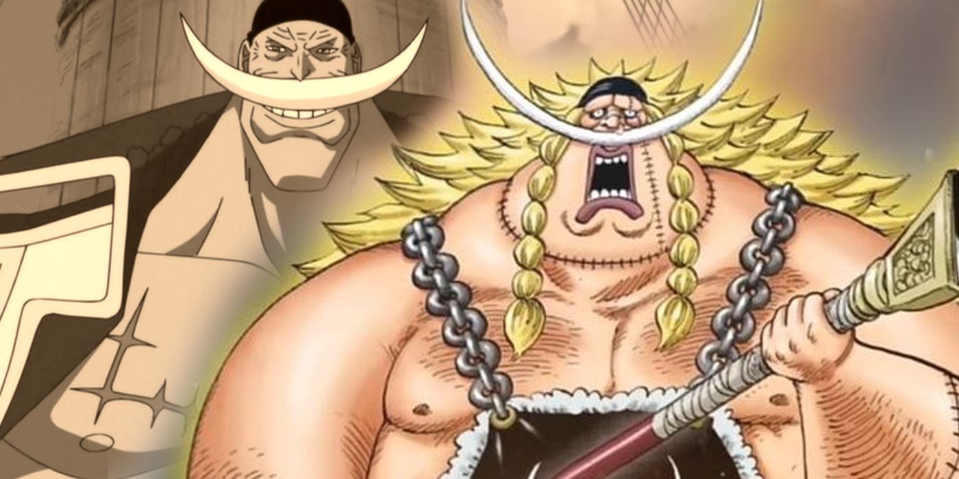 One Piece explica la conexión de Weevil con Barbablanca