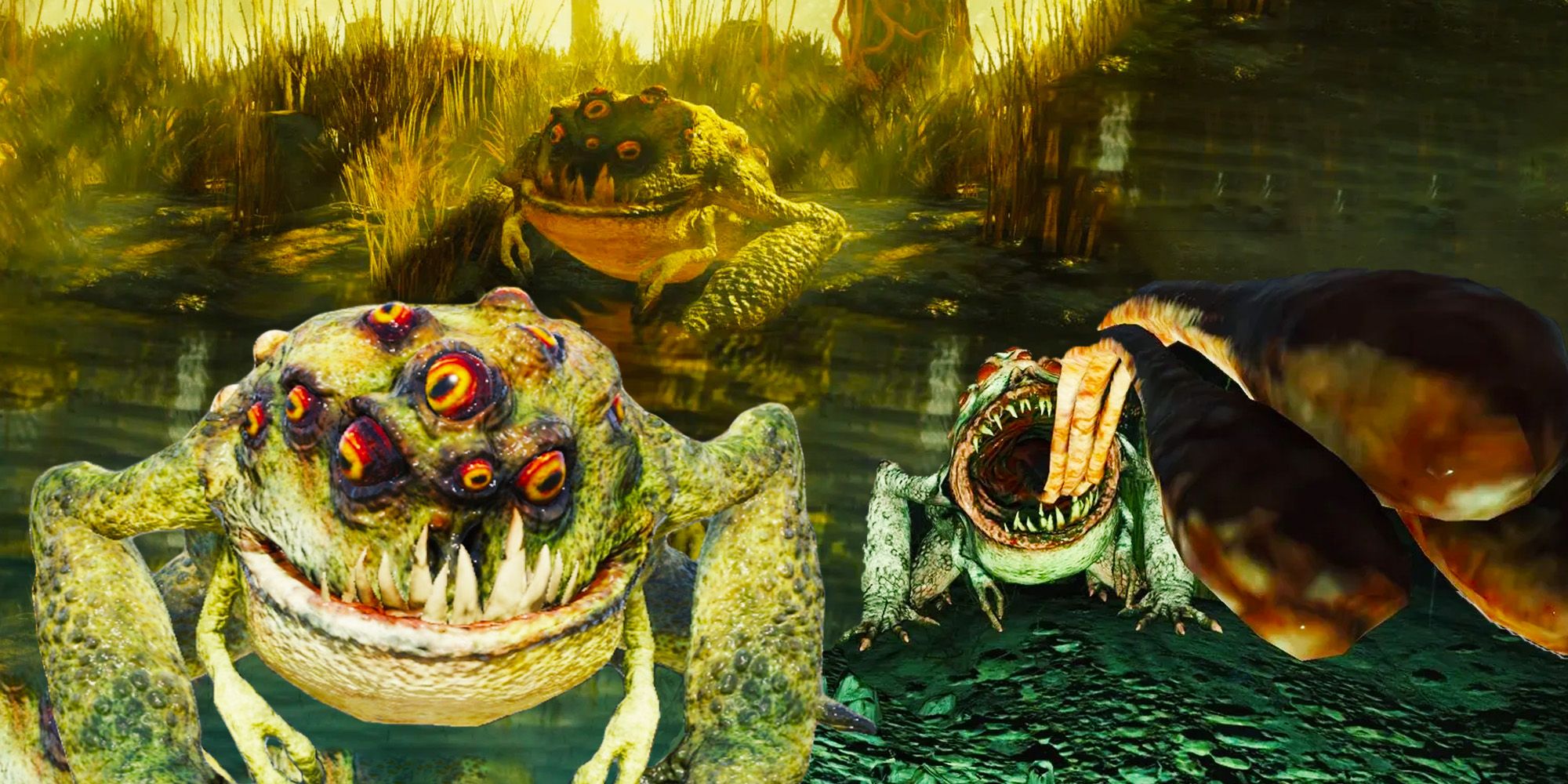 Fallout 76: mejores ubicaciones para encontrar Radtoads y cómo matarlos