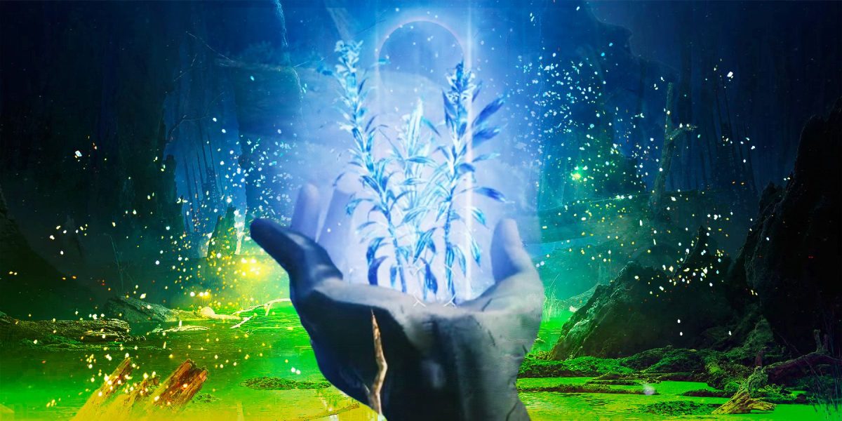 Cómo obtener y usar semillas luminiscentes en Destiny 2