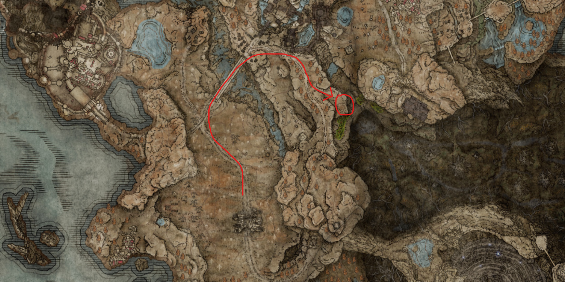 Camino para encontrar a Thiollier en el mapa de Elden Ring Shadow of the Erdtree