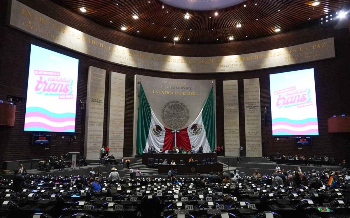 Concluye INE cómputos distritales para la Cámara de Diputados