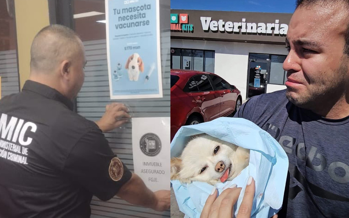 Denuncia muerte de perrita en veterinaria; fiscalía Sonora activa operativo