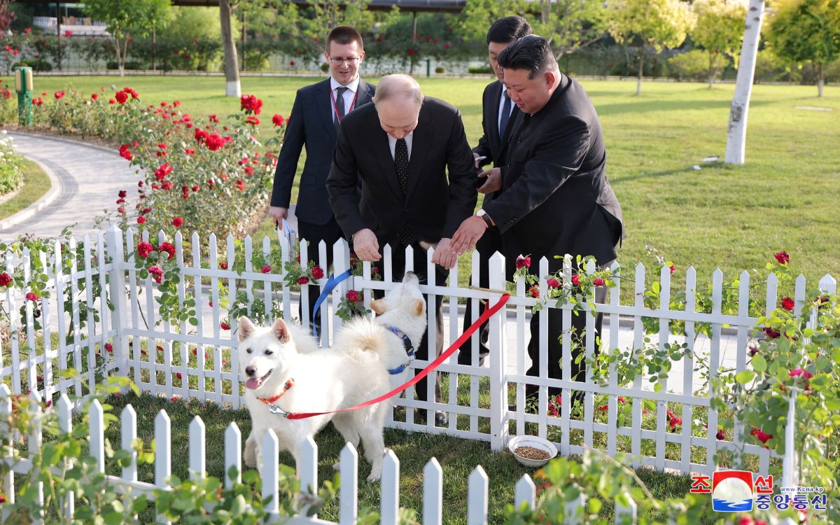 Perros de caza y una limusina: Los exóticos regalos entre Kim y Putin en histórica cumbre | Video