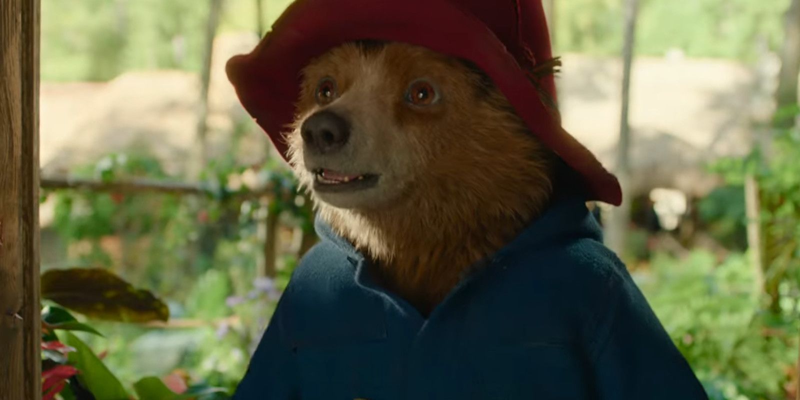 Tráiler de Paddington en Perú: nuevas estrellas y 1 Recast Brown se unen a Paddington para encontrar a la tía Lucy desaparecida