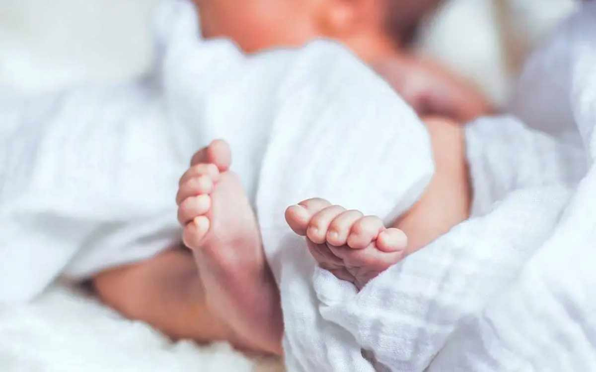 ¿Por qué los jóvenes no quieren tener hijos? Preocupaciones según la OCDE