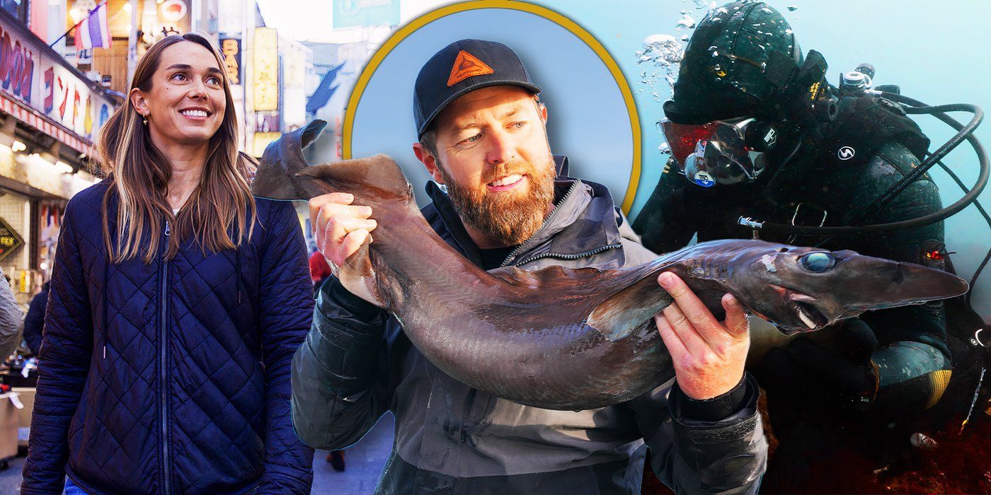 Forrest Galante habla sobre la búsqueda de animales esquivos en la serie de la Semana del Tiburón: Tiburones alienígenas: Fantasmas de Japón