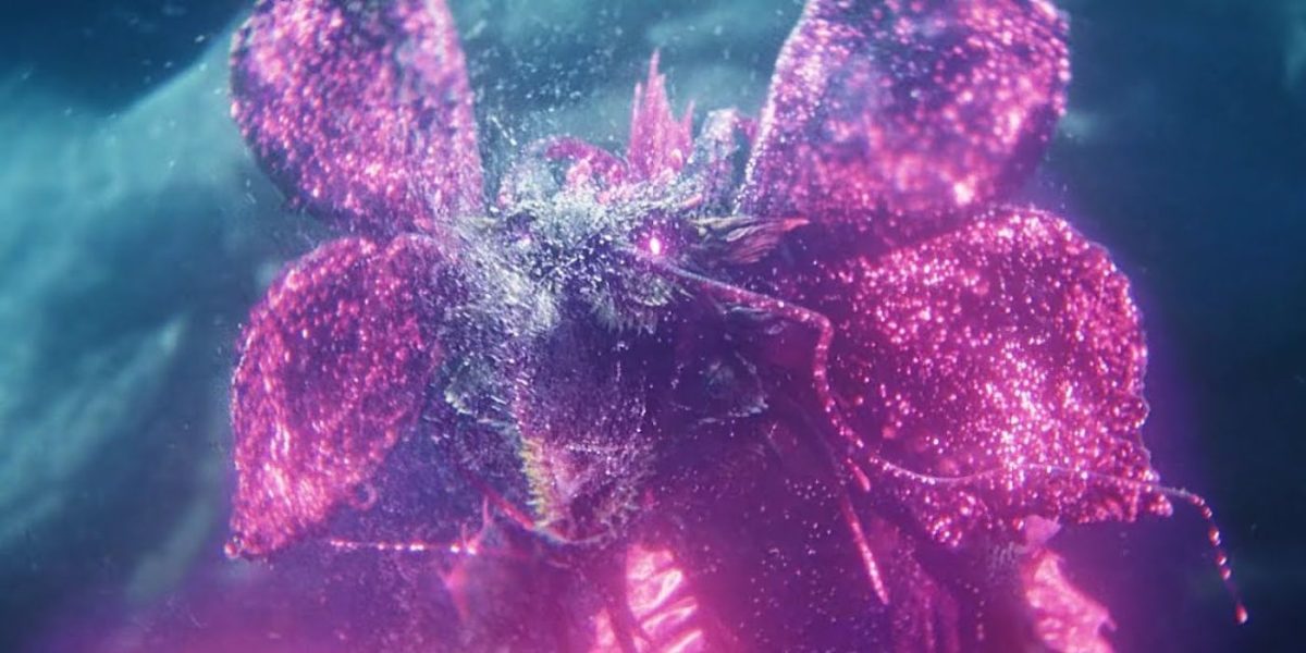 Un sorprendente detalle en GxK crea el escenario perfecto para la pelea más difícil de Godzilla y Kong