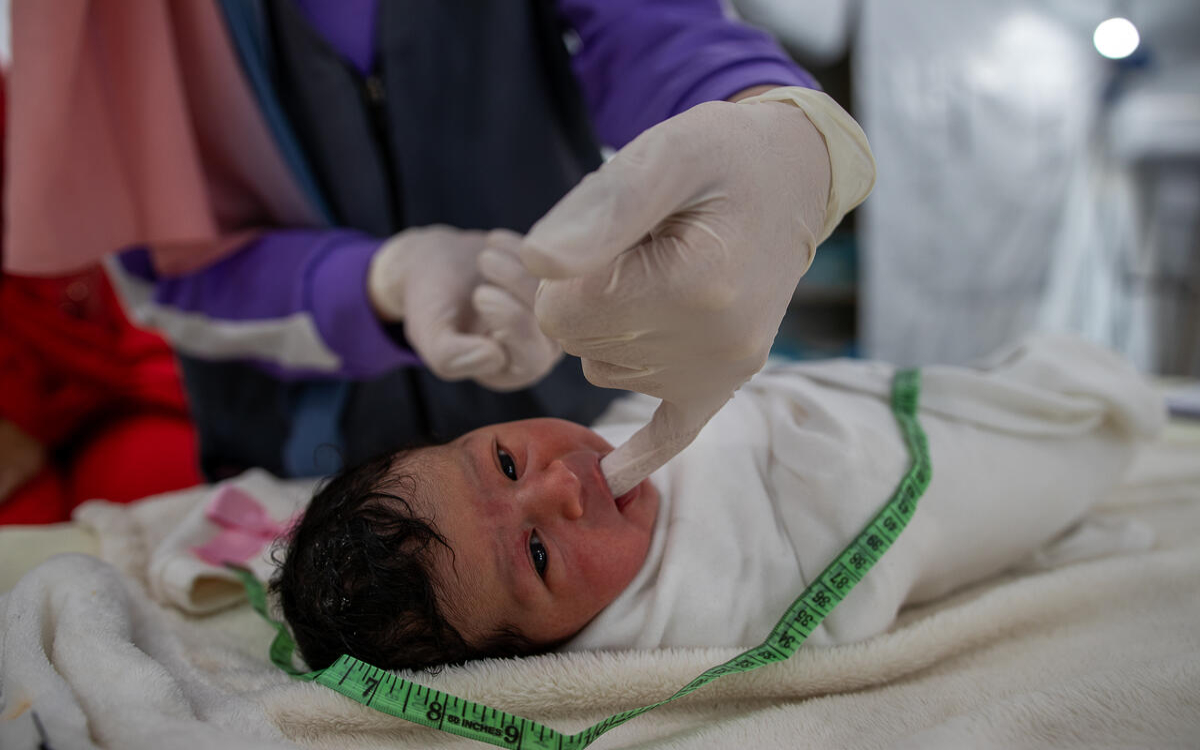 Advierten sobre el peligro que corren mujeres gazatíes al inducirse el parto | Video