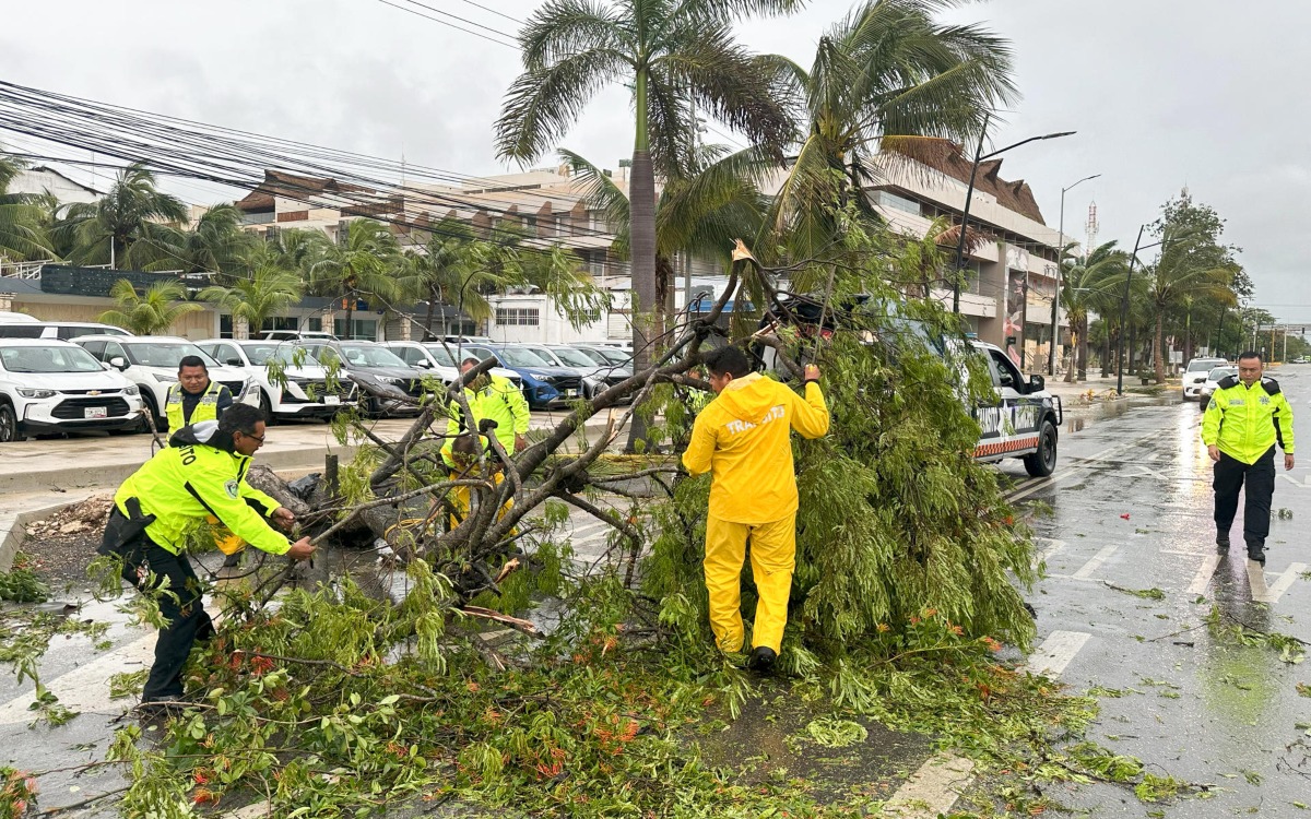Beryl causó 133 incidentes de daños en autopistas: SICT