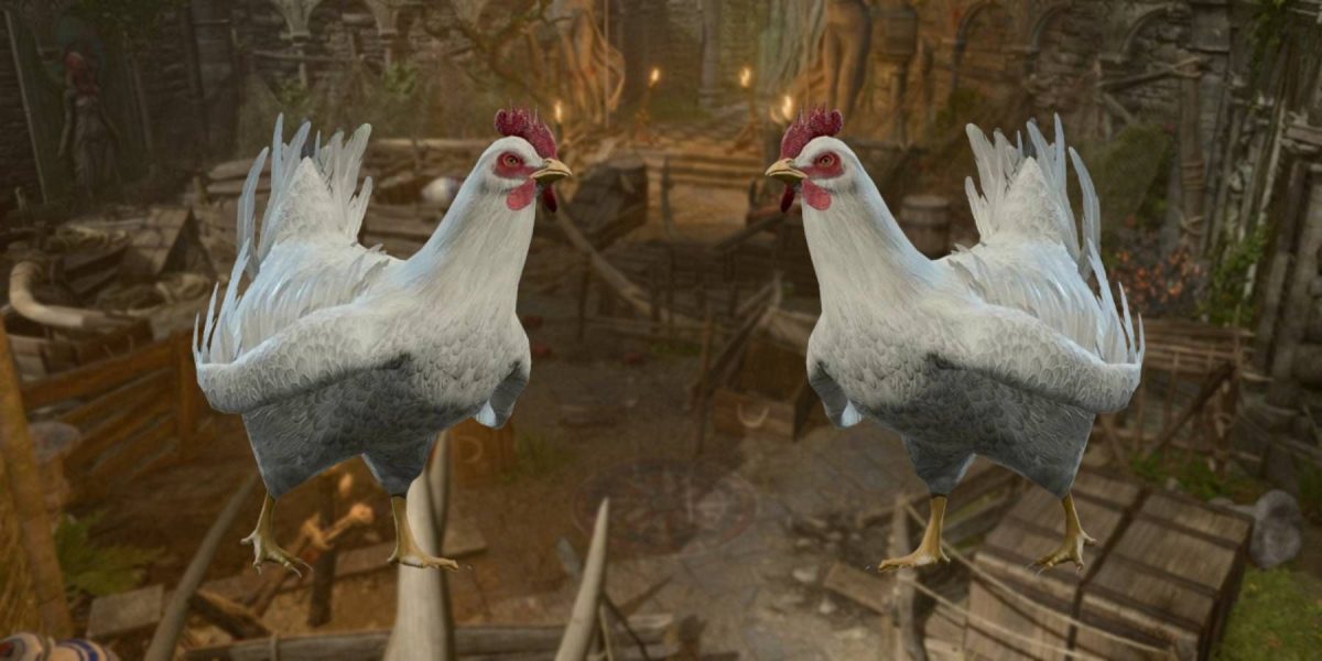 Cómo vencer la persecución de gallinas en el campamento de duendes en Baldur's Gate 3