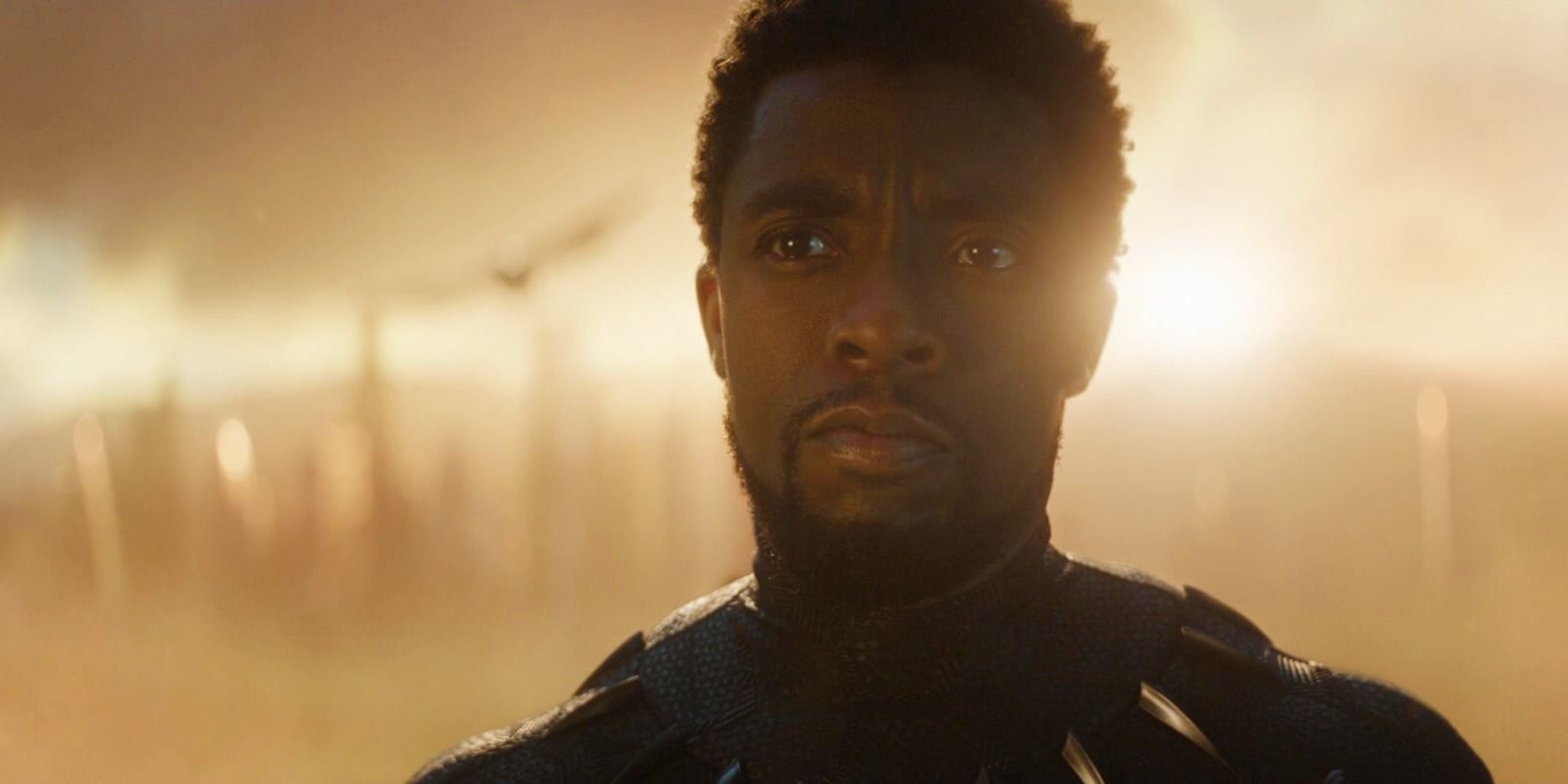Se informa que Marvel Studios está “firmemente abierto” a refundir a T’Challa en el MCU 5 años después de la muerte de Chadwick Boseman