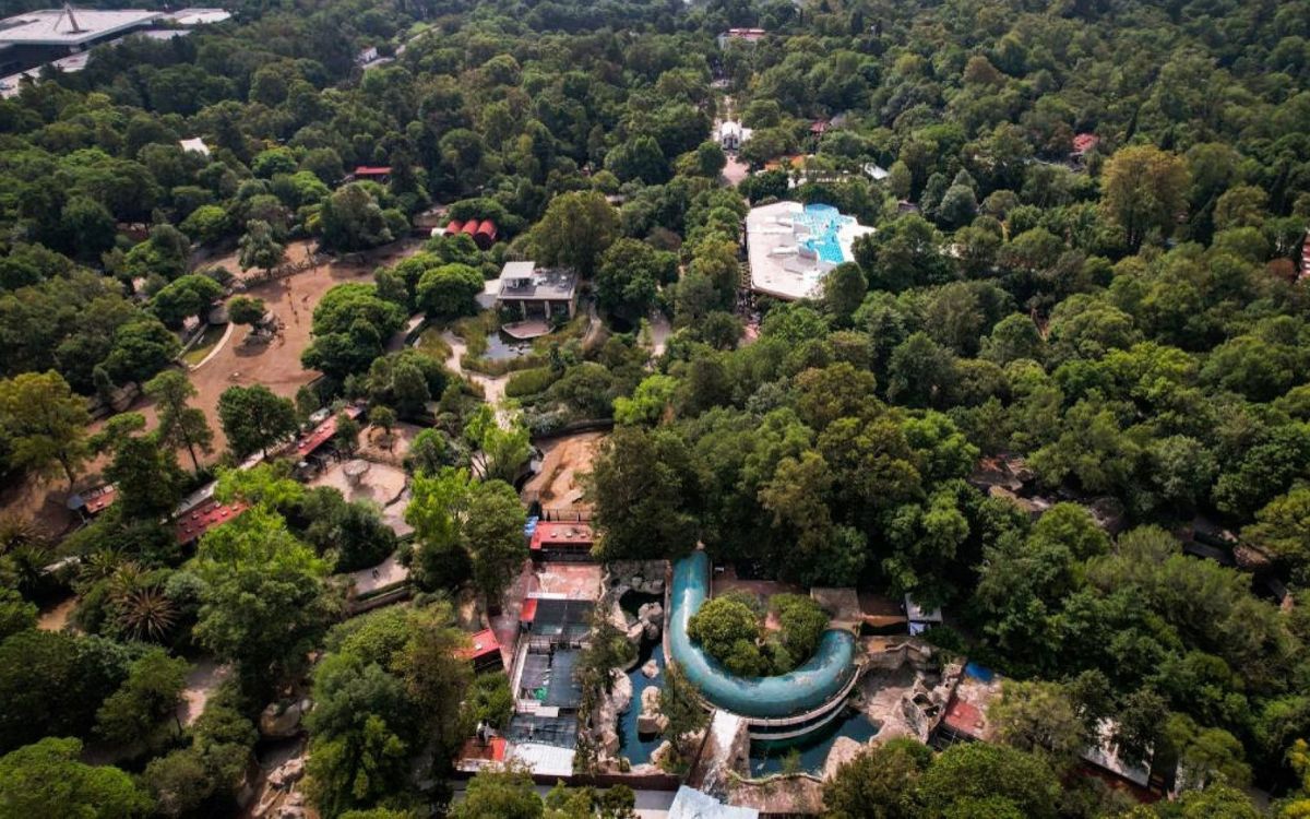 AMLO confirma fecha de inauguración de nueva sección de Chapultepec y línea  3 del Cablebús