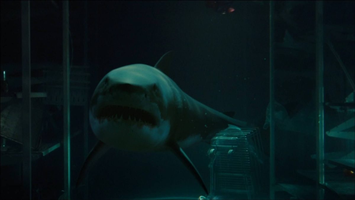 Tráiler de Bait (2012)